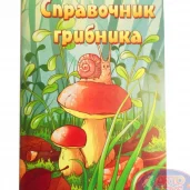 компания по производству и продаже игрушек артотойз изображение 6 на проекте moekoptevo.ru