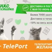 автоматизированный пункт выдачи teleport изображение 4 на проекте moekoptevo.ru