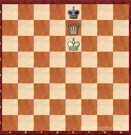 шахматная школа шахматный путь изображение 2 на проекте moekoptevo.ru